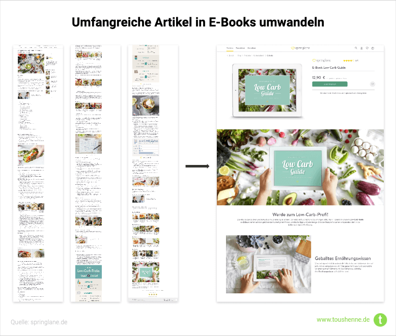Springlane E-Book
