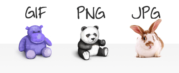 Bildformate im Vergleich: GIF, PNG, JPG
